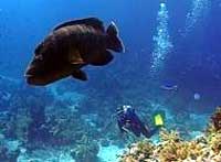 sicily, catania-mediterranean cruises -discount cruises