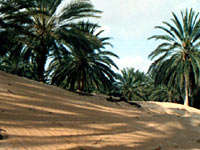 north african desert-cheap cruises -Costa Cruises