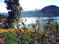 Hellesylt, Norway-european cruises -discount cruises