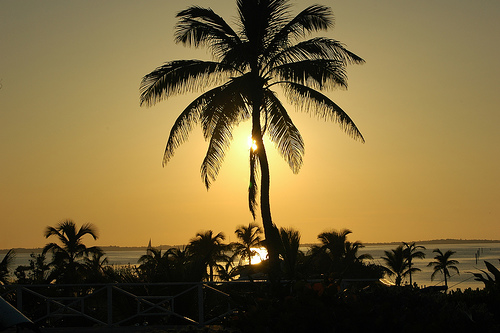  bahamas cruise