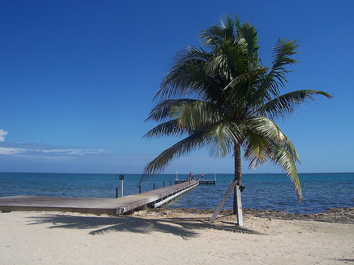  cayman islands cruise