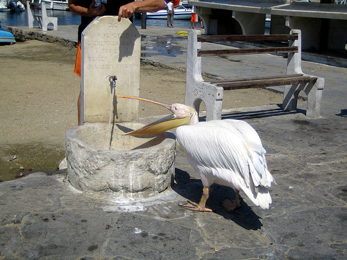  cruise greece mykonos