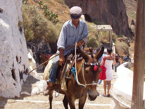  santorini greek cruises